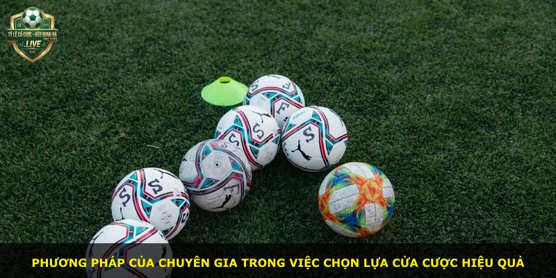 Phương pháp của chuyên gia trong việc chọn lựa cửa cược hiệu quả