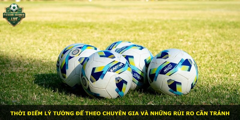 Thời điểm lý tưởng để theo chuyên gia và những rủi ro cần tránh