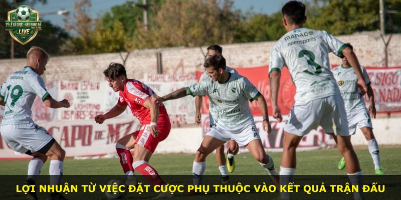 Lợi nhuận từ việc đặt cược phụ thuộc vào kết quả trận đấu